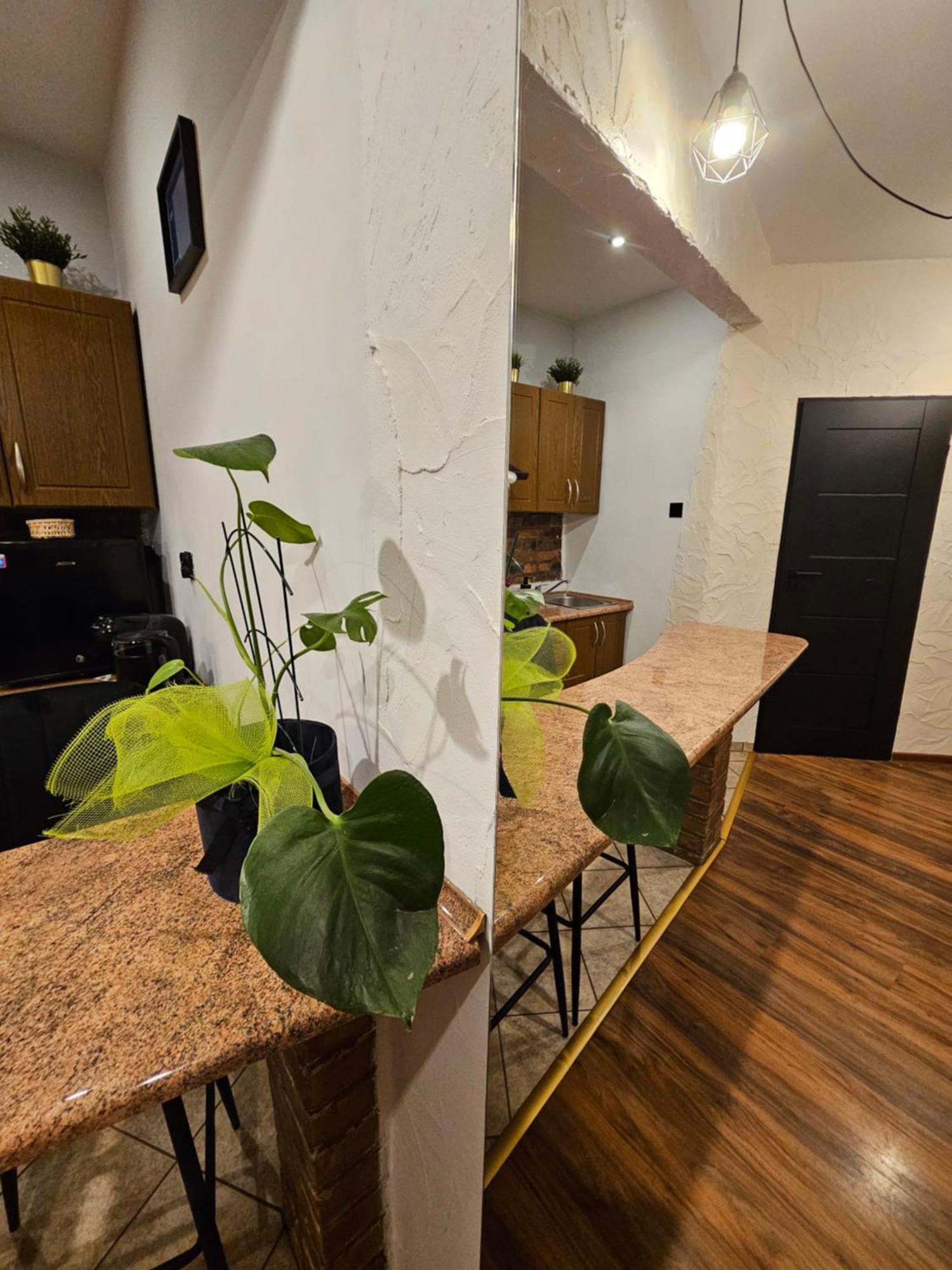 Loft Apartment
