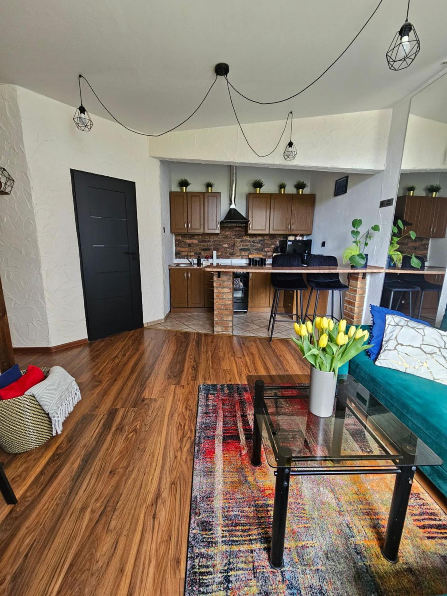 Apartment Loft Sosnowiec
